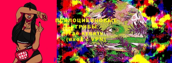 МДПВ Волосово